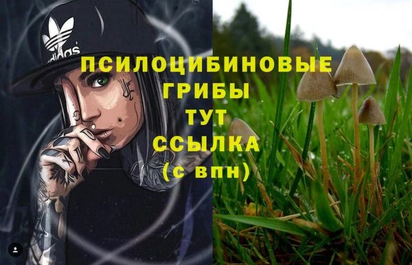 трава Горняк