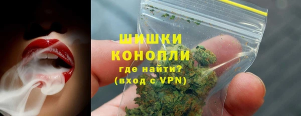 сатива Вязьма