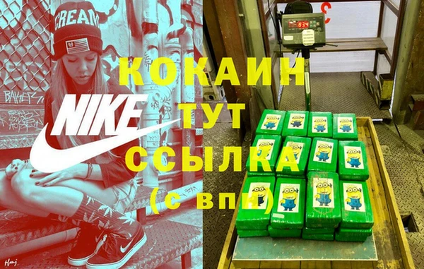 сатива Вязьма