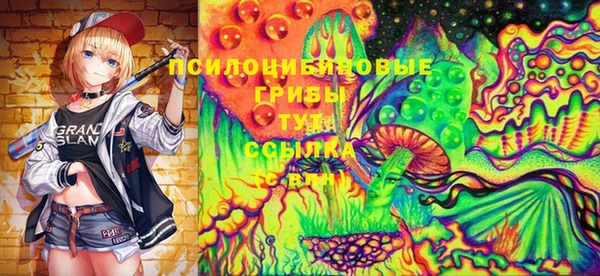 PSILOCYBIN Волоколамск