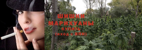 PSILOCYBIN Волоколамск