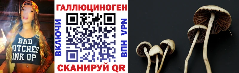 Псилоцибиновые грибы мицелий  KRAKEN как зайти  Зеленогорск 